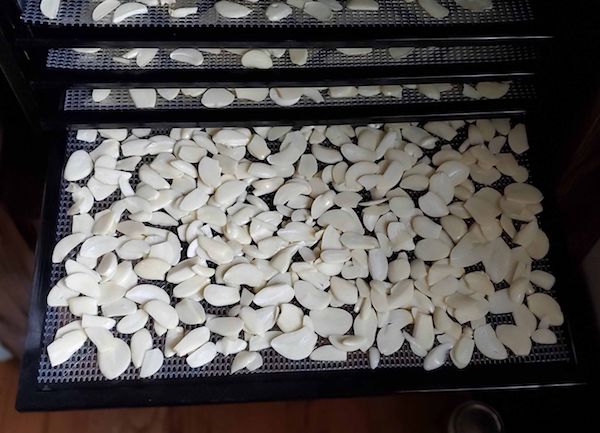 make-garlic-powder